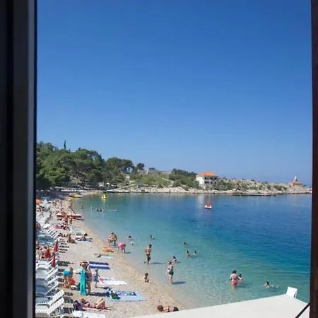 Riviera - Zuta Kuca *