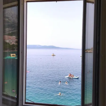 Riviera - Zuta Kuca Gasthof