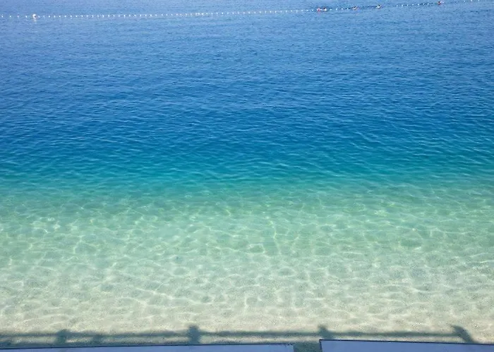 Riviera - Zuta Kuca *