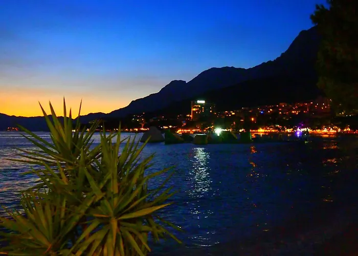 Πανσιόν Riviera - Zuta Kuca *