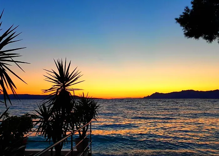 Πανσιόν Riviera - Zuta Kuca *