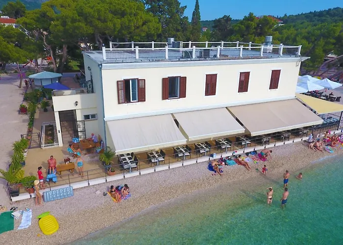 Πανσιόν Riviera - Zuta Kuca